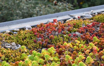 the cost of Whaplode green roof installation