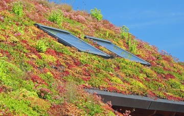 Whaplode living roof systems