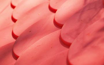 Whaplode plastic roof costs