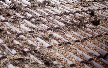 Whaplode roof cleaning companies