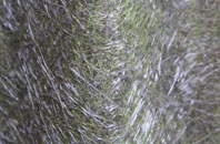 Whaplode fibreglass roof work